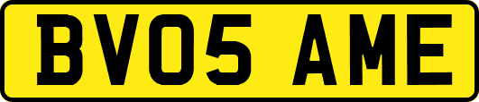 BV05AME