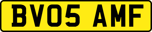 BV05AMF