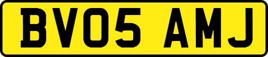 BV05AMJ
