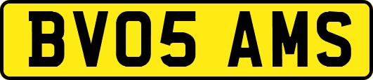 BV05AMS
