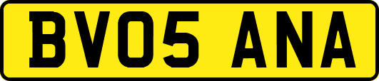 BV05ANA