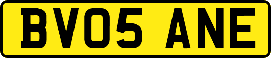 BV05ANE