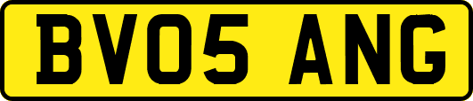BV05ANG