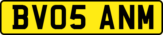 BV05ANM