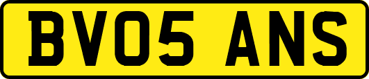 BV05ANS