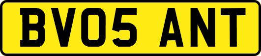 BV05ANT