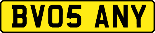 BV05ANY