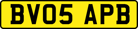 BV05APB