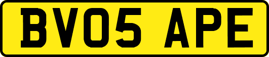 BV05APE