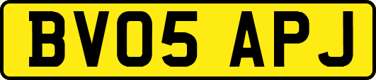 BV05APJ