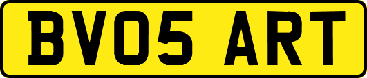 BV05ART