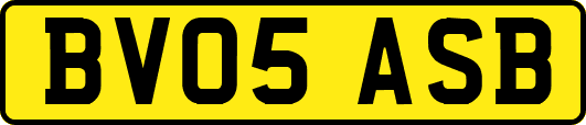 BV05ASB