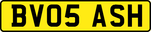 BV05ASH