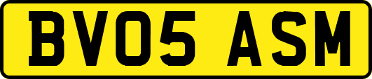 BV05ASM