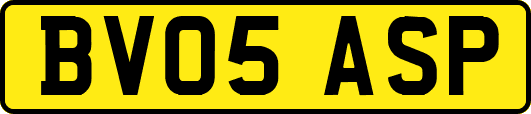 BV05ASP