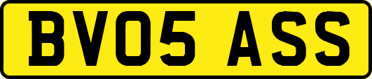 BV05ASS
