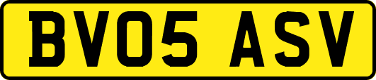 BV05ASV