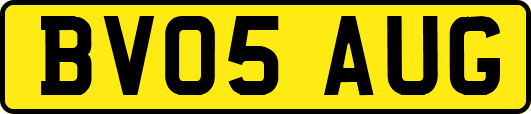 BV05AUG