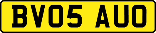 BV05AUO