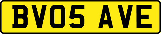 BV05AVE