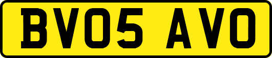 BV05AVO