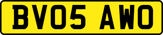 BV05AWO
