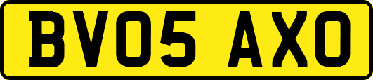 BV05AXO