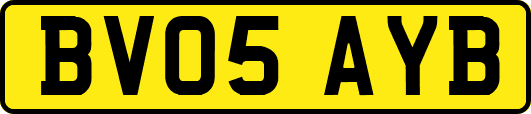 BV05AYB