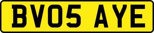 BV05AYE