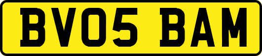 BV05BAM