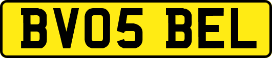 BV05BEL