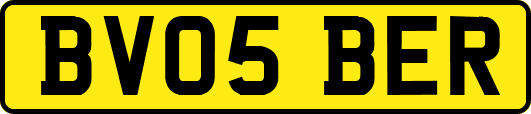 BV05BER