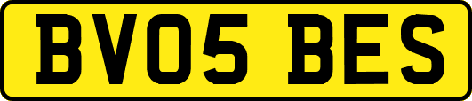 BV05BES