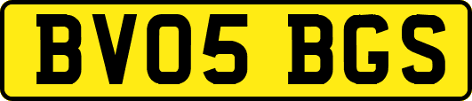 BV05BGS