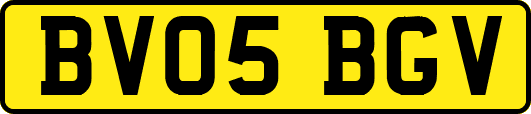 BV05BGV