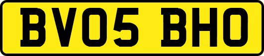 BV05BHO