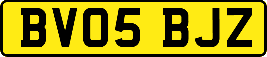BV05BJZ