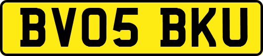 BV05BKU