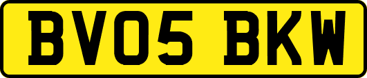 BV05BKW
