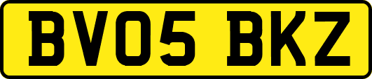 BV05BKZ