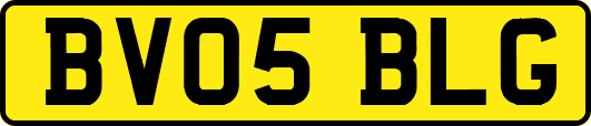 BV05BLG