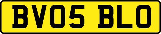 BV05BLO
