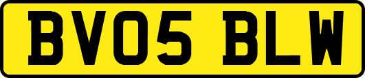 BV05BLW