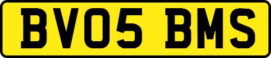 BV05BMS