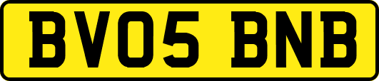 BV05BNB