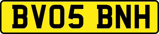 BV05BNH