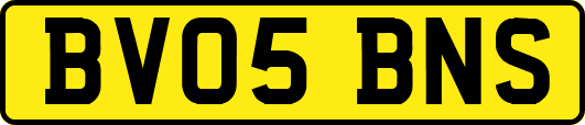 BV05BNS