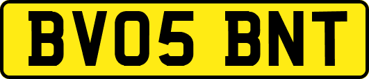 BV05BNT
