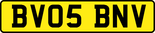 BV05BNV