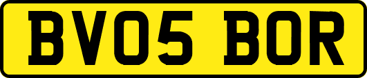 BV05BOR